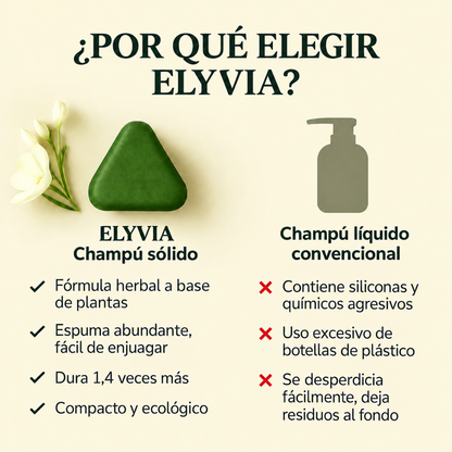 Champú Solido - Limpieza Profunda y Volumen